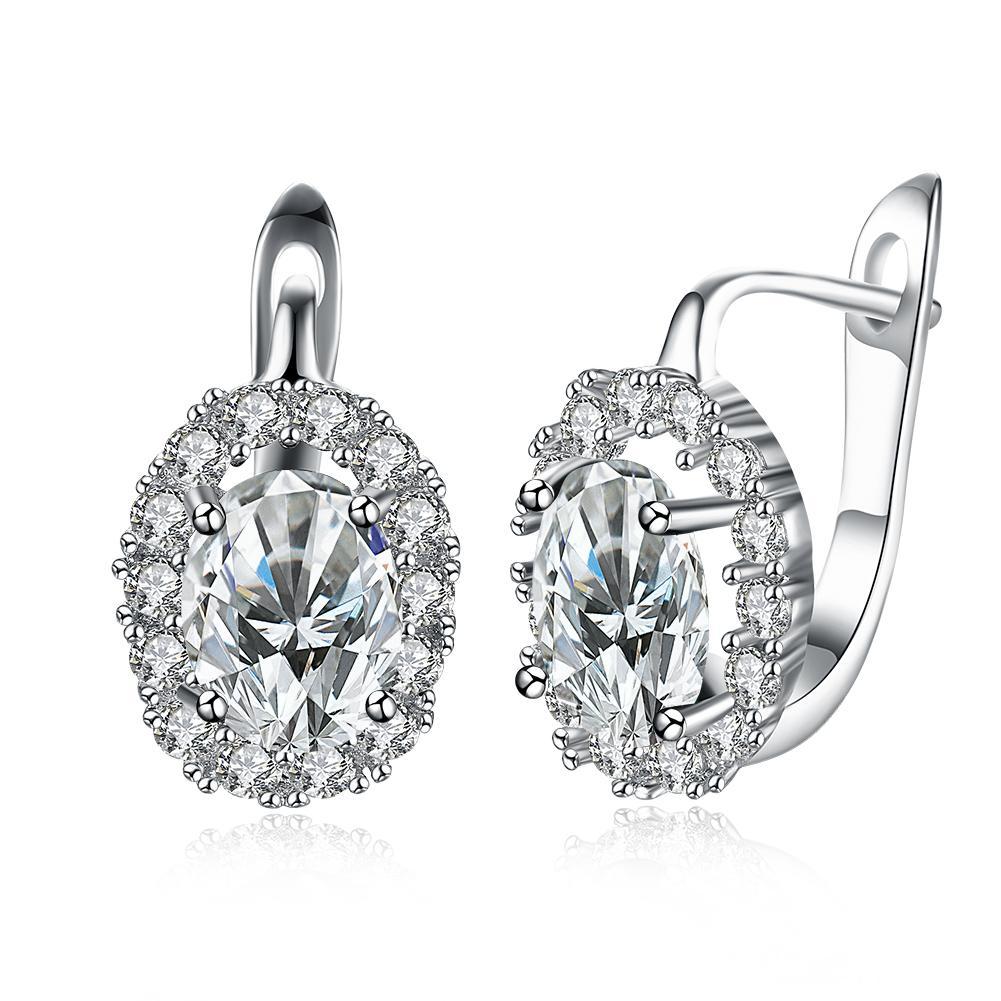 White Austrian Elements Lever Back Earrings In White Gold